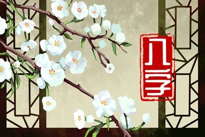 取用结论的适用边界
