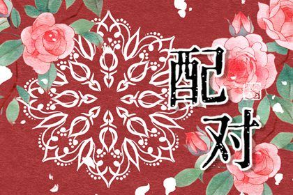 O型与AB型的相处观察