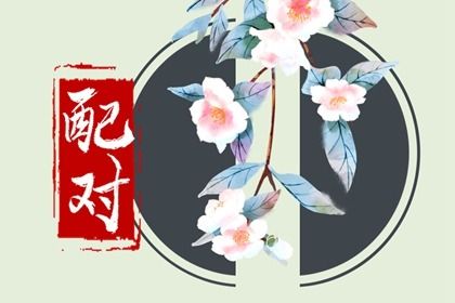 流年节奏与日常决策