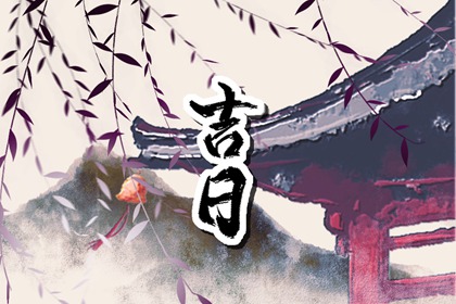 车牌号打分测试|八字选车牌号数字|测电动车牌号吉凶