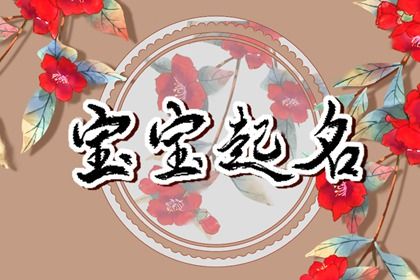车牌号打分测试|八字选车牌号数字|测电动车牌号吉凶