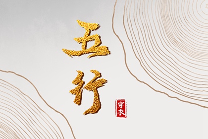 紫微盘排盘免费|排命盘八字|占星命盘详解
