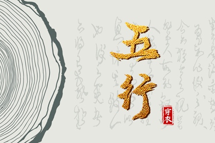 纳音与纹身图案的结合