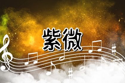 机器解读缺了什么