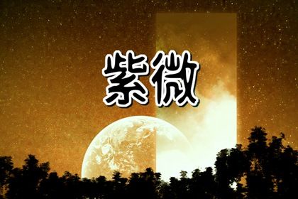 在线排盘可靠吗